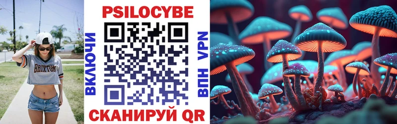 Псилоцибиновые грибы Cubensis  Оренбург 