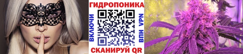 хочу наркоту Оренбург МАРИХУАНА сатива